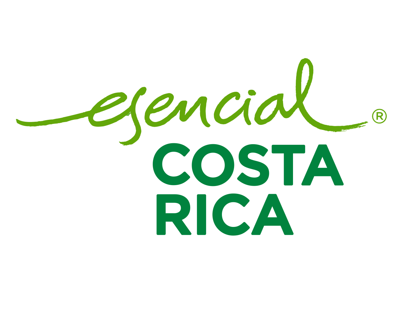 Certificación 2